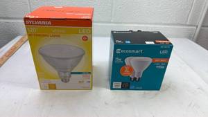 lot 103 image: LED Light Bulb Bundle - Sylvania and EcoSmart