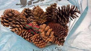 lot 125 image: Natural Pine Cone Holiday Garland with Plaid Ribbon