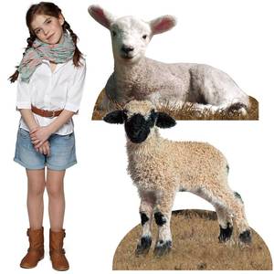 lot 54907 image: 2 Pcs Christmas Lamb Cardboard Cutout Stand Ups Nativity Photo Props Large Sheep Nativity Cardboard Cutouts Party Decorations for Xmas Vbs Sunday School Vacation Bible School Decor Supplies - Retail $48