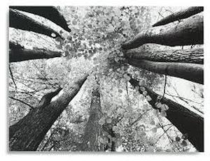 lot 18554 image: Signature Design by Ashley Ananya wall art