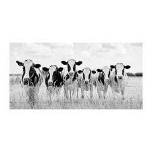 lot 18555 image: Grazing Pasture black and white canvas art print