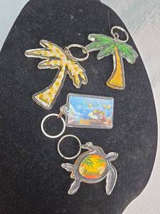 lot 147 image: Hawaii Souvenir Keychain Set