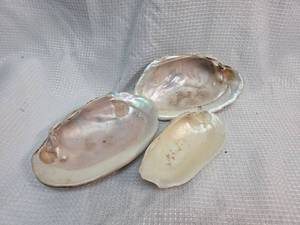 lot 148 image: Natural Pearl Oyster Shells