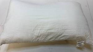 lot 68217 image: White Pillow Insert - Retail $9