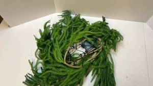 lot 68245 image: Pre-lit Battery Operated Christmas Garland2pcs - Retail $65