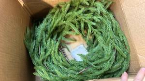 lot 68256 image: Artificial Pine Christmas garland 2 pcs 6 foot - Retail $35