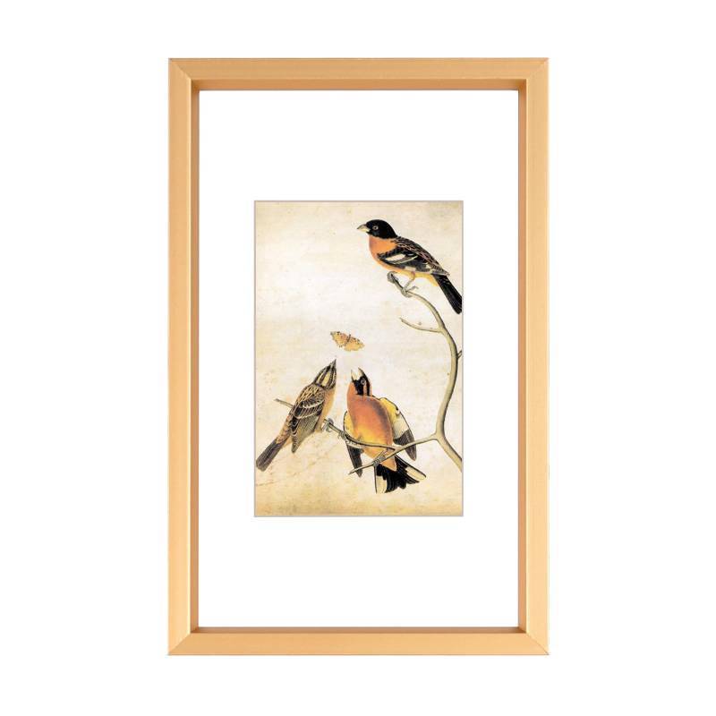lot 24842 image: 3x5 Picture Frame, Gold Metal Photo Frames with HD Glass, Fits 2x3 with Mat or 3 x 5 without Mat, Display for Wall and Table, 1 Pack - Retail $12