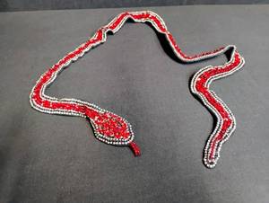 Red Crystal Snake Brooch with Rhinestone Border