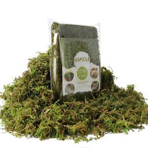 lot 39961 image: USMOLA Fake Green Moss for Potted Plants, 4OZ Artificial Moss for DIY Crafts, Faux Moss for Table Centerpieces Fairy Garden Decor (Fresh Green 140gr) - Retail $10