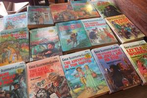 lot 3556 image: 15 Vintage Great Classic Book