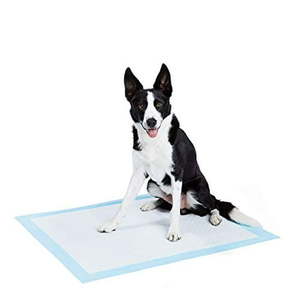 lot 11154 image: Basics Dog and Puppy Pee  Potty Training Pads  X-Large (28 x 34) - Pack of 50