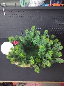 lot 11559 image: UV Resistant Outdoor Christmas Plastic Plant decor