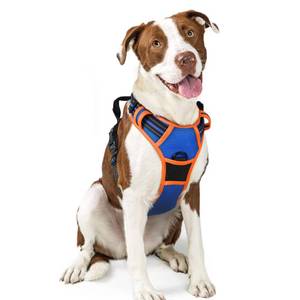 lot 12082 image: rabbitgoo Dog Harness No Pull with 2 Leash Clips, Adjustable Soft Padded, Reflective Oxford No Choke Pet Vest with Easy Control Handle for Large Dogs, Blue & Orange, L
