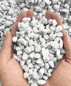 lot 13686 image: 10QT Organic Perlite Horticultural Soil Amendment for Plants and Enhanced Drainage Enhanced