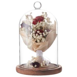 lot 11639 image: BENECREAT 7x4.5 Inch Glass Dome Cloche with Wooden Base, Rustic Bell Jar Display Clear Glass Bell Cloche for Plants, Fairy Lights or Table Decor