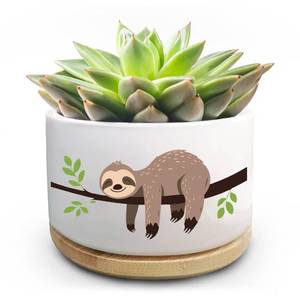 lot 14049 image: Jutasty Cute Sloth Gifts for Women Men Friend, Sloth Succulent Plant Pot, Ceramic Cactus Flower Planter Gifts, Sloth Lover Gifts, Sloth Planer for Office Desk Table Shelf Decor, C (No Plants)