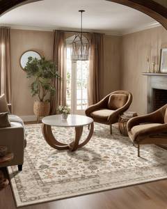 lot 1263 image: Washable Area Rugs for Living Room 5x7 Bedroom Rug Boho Vintage Area Rug Stain Resistant Non Slip Low Pile Lightweight Soft Carpets for Dining Room Kitchen Nursery Kids Room Playroom Home Office