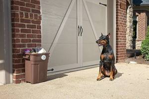 lot 6029 image: PetSafe Pawz Away Mini Pet Add-A-Barrier - Indoor & Outdoor Reliable Space Protection Transmitter - Long-Lasting & Battery-Powered - 5 ft Range