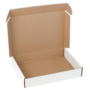 lot 13887 image: 10 Pack 11x8x2 inch Small Shipping Boxes White Corrugated Cardboard Box for Small Business, Mailer, Shipping, and Packing