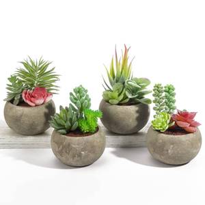 lot 13959 image: SPEPLA Succulents Plants Artificial 4 Pack, Mini Fake Succulents in Pots, Assorted Small Faux Succulent Decorative for Living Room Home Office Decor