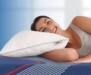 lot 13902 image: Sealy pillow