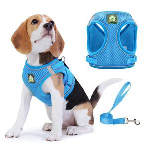 lot 2486 image: Jolifield Step in Dog Harness with Leash Set, Adjustable Soft Padded and Breathable Mesh for Small Sized Dog, Reflective No Pull No Choke Cat Vest Harness, Easy Control Pet Vest, Blue M