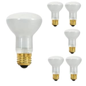 lot 5586 image: S8519 45R20FL 130V 5M 45 Watt R20 Incandescent Frost 5000 Average Rated Hours 280 Lumens Medium Base 130 Volt