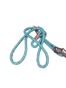 lot 6453 image: FIDA 6ft Reflective Rope Slip Dog Leash - Turquoise