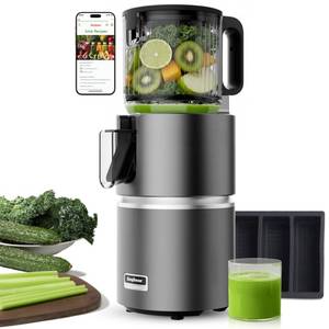 lot 7435 image: Anybear Cold Press Juicer with 4.9 Large Feed Chute, 350W Masticating Juicer Machines with Dual Slow-Squeezing Technology for Whole Fruits & Veggies with High Yield  BPA-Free Tritan  Juice Recipes