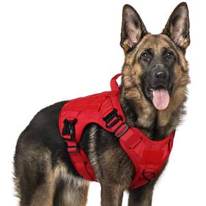 lot 12275 image: rabbitgoo Tactical Dog Harness for Large Dogs, Heavy Duty Dog Harness with Handle, No-Pull Service Dog Vest Large Breed, Adjustable Military Dog Vest Harness for Training Hunting Walking, Red, XL