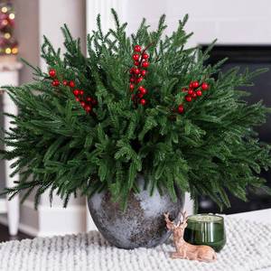 lot 19731 image: HyeFlora 15 PCS Norfolk Pine Stems with Red Berries Branches,19 Inch Christmas Real Touch Artificial DIY Pine Needles,Faux Cedar Pines Greenery Branches Picks for Vase for Wreaths Garlands Home D�cor