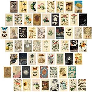lot 8392 image: Gersoniel 60 PCS Vintage Collection Postcard Set Retro Style Botanical Butterfly Mushroom Nature and Ephemera Postcards for DIY Card Paper