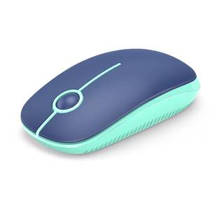 lot 12377 image: VssoPlor Wireless Mouse, 2.4G Slim Portable Computer Laptop Mouse with Nano Receiver Quiet Silent Optical Mice for Notebook, PC, Laptop, Computer-Blue and Green