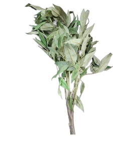 lot 5677 image: Artificial Bay Leaves Branch