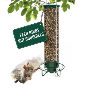 lot 7536 image: Droll Yankees Squirrel Proof Bird Feeders for Outdoors - YF-M - Flipper, Collapsible Perches, 5-Pound Seed Capacity, Green