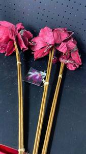 lot 10342 image: Pink Glitter Floral Stems with Bamboo Stalks