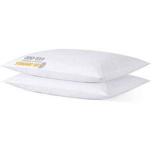 lot 11878 image: iFaon Thin Flat Slim Ultra Soft Bed Pillows Queen Size Set of 2 Pack for Sleeping, Bed Pillow for Stomach Back and Side Sleepers, Machine Washable 20x28 inches
