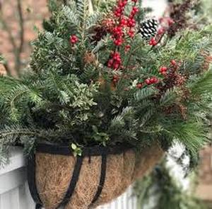 lot 9918 image: Holiday Pine Arrangement with Red Berries