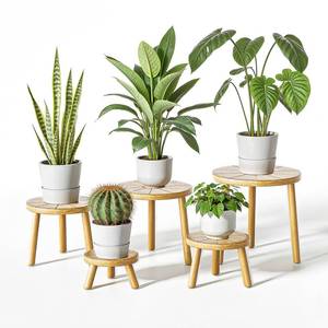 lot 1479 image: Delma Wood Plant Stands Indoor, 5-Pack Single Plant Stand for 6-12 Inch Pots, Mid-Century Modern Plant Stool, Tall Plant Stand for Large Plants for Living Room, Balcony, Office (Light Brown, 5-Pack)