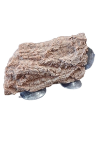 lot 6410 image: Natural Petrified Wood Specimen