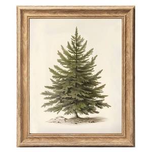 lot 14483 image: ASTRDECOR Framed Vintage Christmas Tree Wall Art 8x10, Rustic Pine Tree Botanical Winter Poster Print with Faux Wood Grain Frame, Holiday Wall Decor for Living Room, Bedroom, Entryway