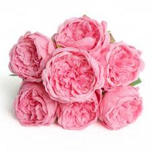 lot 1488 image: Artificial flowers for peas large peony