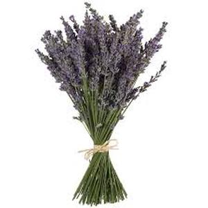 lot 9997 image: Natural Dried Lavender Bouquet Bundle