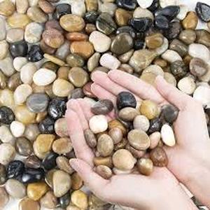 lot 10491 image: Natural River Rock Pebbles with Cleaning Brush in epoxy