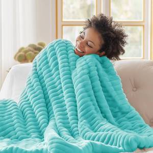 lot 3897 image: Bedsure GentleSoft Blue Fog Fleece Blanket for Couch - Cozy Soft Blankets for Women, Cute Small Throws for Girls, 50x60 Inches