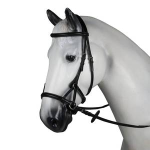 lot 4135 image: HORZE Denver Soft Leather English Side Pull Bitless Bridle for Horses  Web Reins Included - Black - Cob