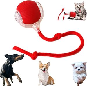 lot 6070 image: Valentines Day Gifts 2025 New Electric Dog Ball Toy,Electric Ball Dog Toy for Cat,360° Smart Automatic Interactive Rolling Dog Ball, Smart Interactive Pet Toy Ball,Automatic Dog Toy