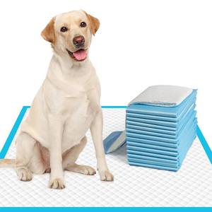 lot 9999 image: IMMCUTE Large Dog Pee Pads 28x30-50 Count  Large Puppy Pee Training Pads Super Absorbent & Leak-Proof  Disposable Pet Piddle and Potty Pads for Puppies  Dogs  Doggie