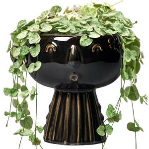 lot 13493 image: Fivepot Head Planter 7 Inch - Ceramic Face Planters with Drainage Hole, Funny Succulent Pots for Indoor Outdoor, Cute Decorative Plant Pot, Desk Office Room Home Decor, Black
