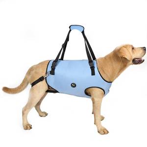 lot 14111 image: Coodeo Dog Lift Harness, Pet Support & Rehabilitation Sling Lift Adjustable Padded Breathable Straps for Old, Disabled, Joint Injuries, Arthritis, Loss of Stability Dogs Walk (Blue, L)